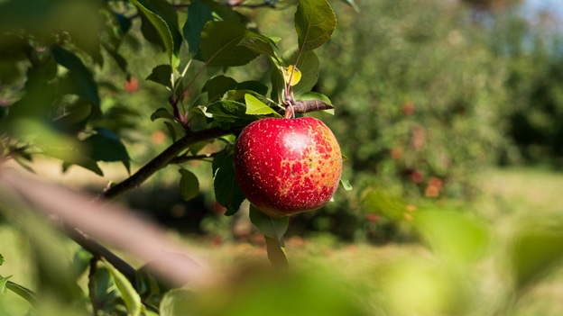 11 Best Fall Activities to Keep You Busy All Autumn Long