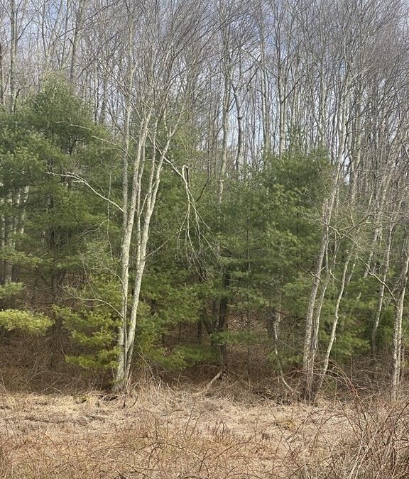 New | 65 Birch Hill Rd, West Brookfield, MA 01585 | Blog